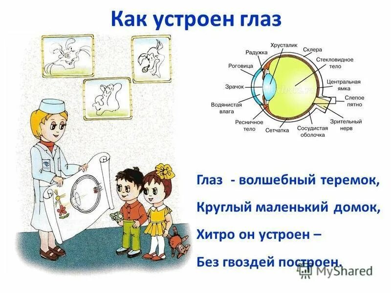 Охрана здоровья зрения. Картинки береги зрение. Плакат берегите зрение. Гигиена глаз для детей. Плакат гигиена глаз.