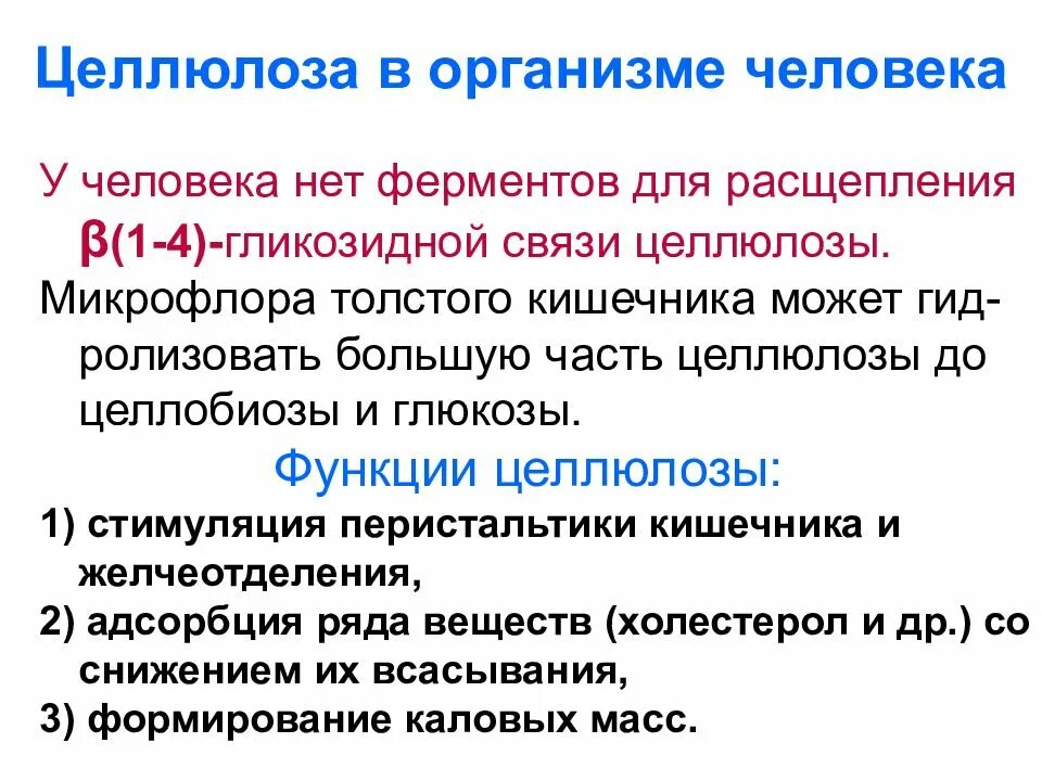 Биологическое значение целлюлозы. Функции целлюлозы. Функции целлюлозы в организме. Целлюлоза биологическая роль в организме человека. Роль глюкозы в живых организмах