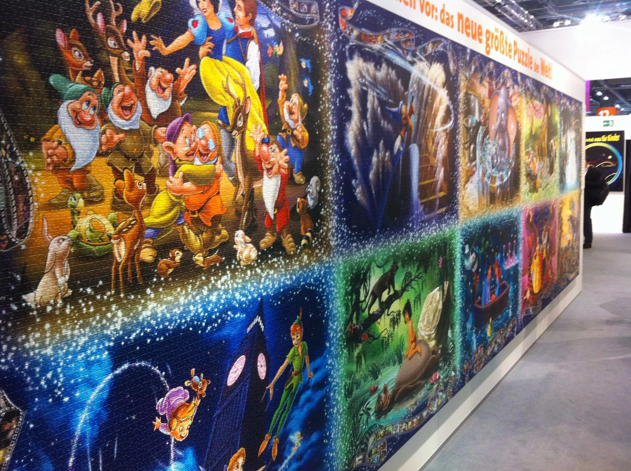 самая большая картина из пазлов. большие пазлы для детей. пазлы большие детали. самый большой пазл в мире. пазл educa 8000 деталей.