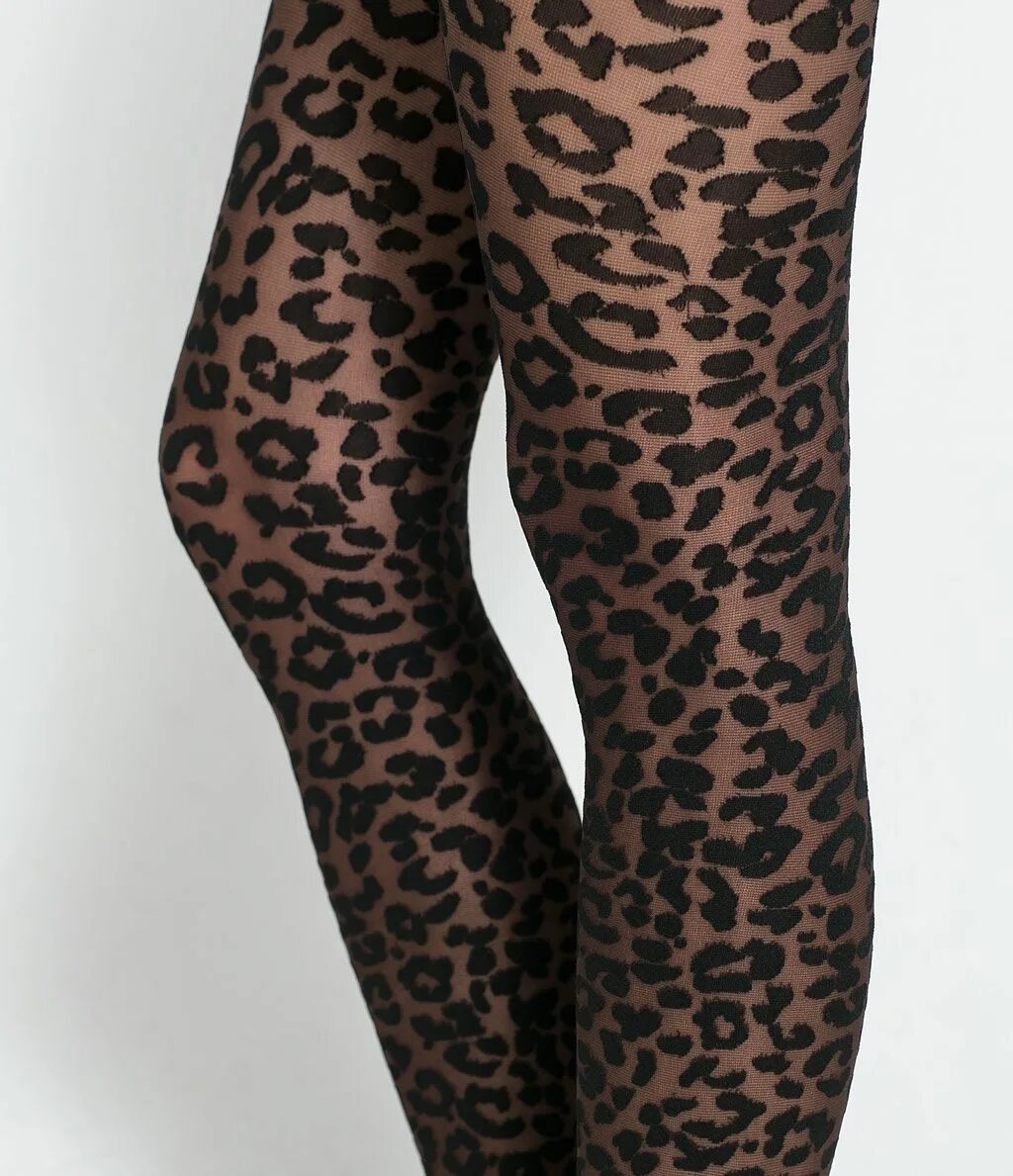 Леопардовые колготки. Колготки Manzi Leopard. Колготки леопард Wolford. Кальцедония леопард. Кальцедония леопардовые колготки.