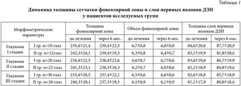 Слой нервных волокон сетчатки