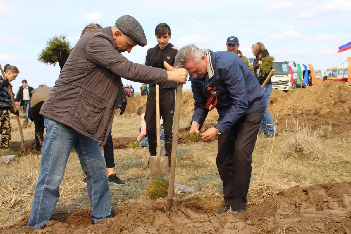 погода в самарке рубцовского