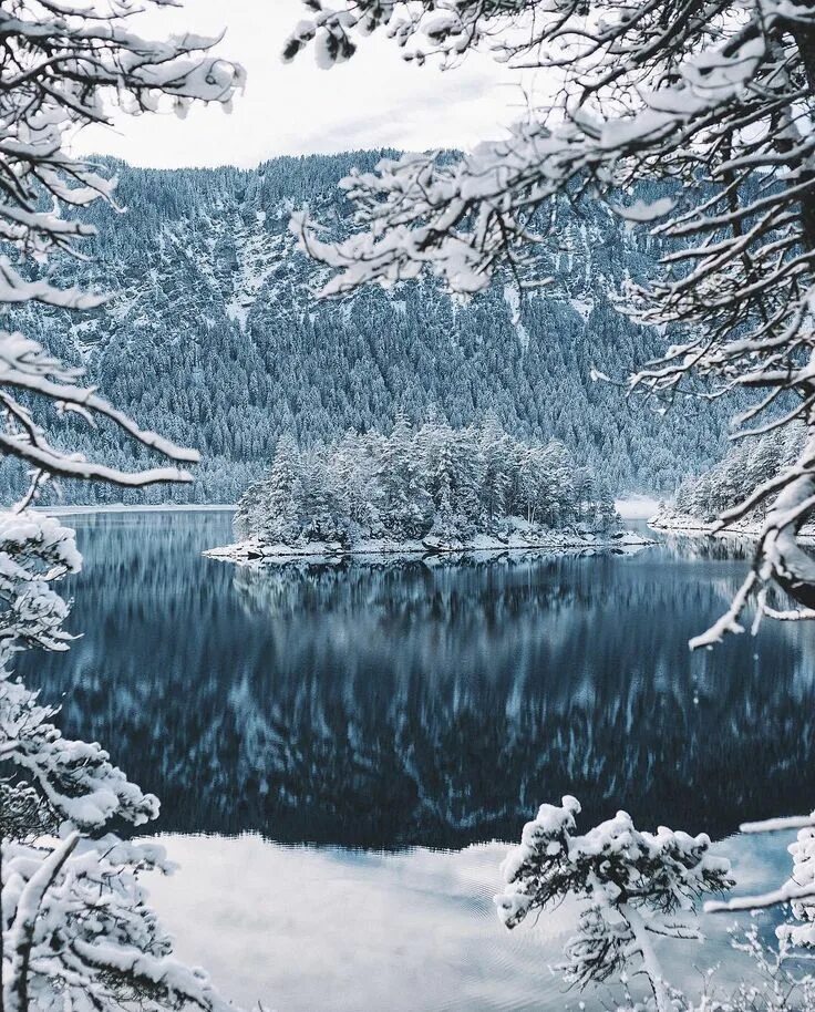 Зимний пейзаж. Зимний лес. Зима близко на английском. Серая зима. Winter is wonderful.