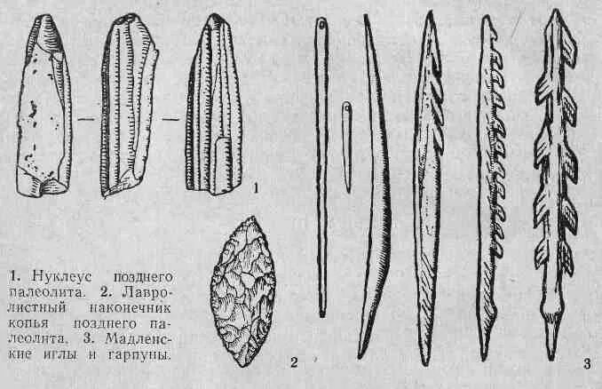 Поздний палеолит орудия труда. Верхний палеолит орудия труда. Орудия позднего палеолита. Орудие позднего палеолита наконечники копий. Полиолит