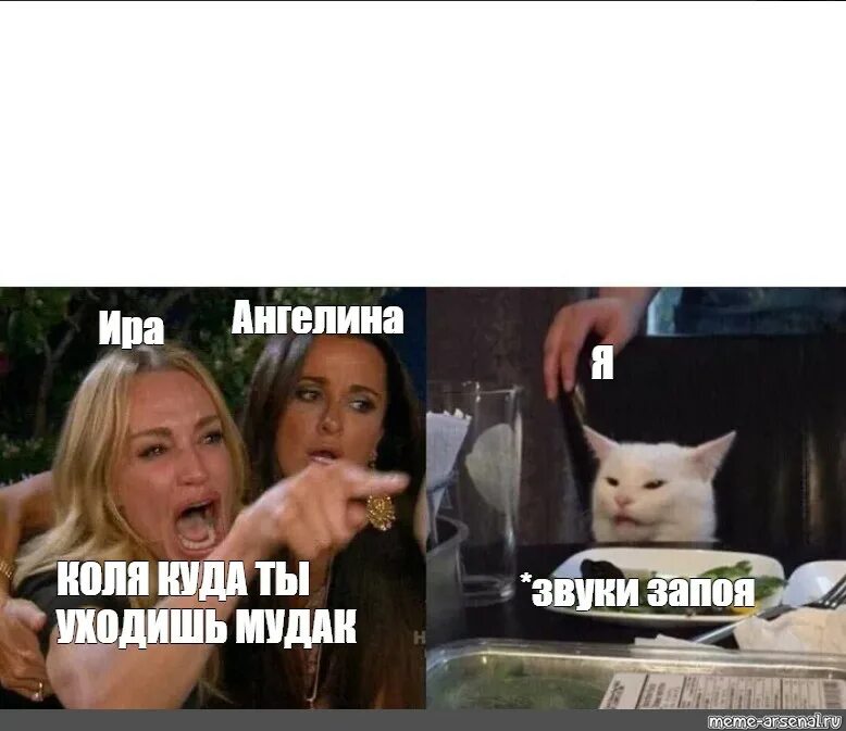 Create meme "meme with screaming woman and a cat, woman yelling at a cat" - Pict