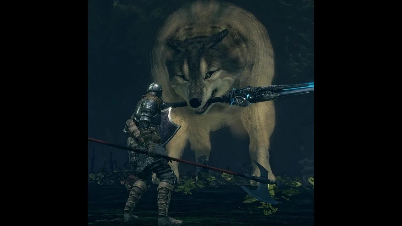 Сиф великий волк. Сиф Великий волк арт. Сиф Великий волк в Dark Souls. Dark Souls great Grey Wolf SIF.