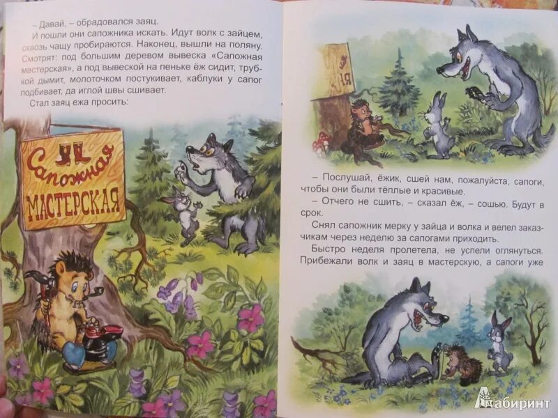 Грибачев заяц коська и его друзья. Пришвина зайцы профессора. Пришвин иллюстрации к рассказам. "лесной огород". Как заяц сапоги съел картинки.