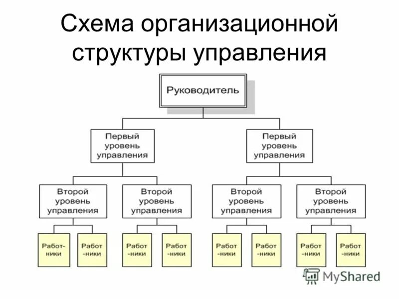 Составьте схему организационной структуры управления организации правда жизни / Habr