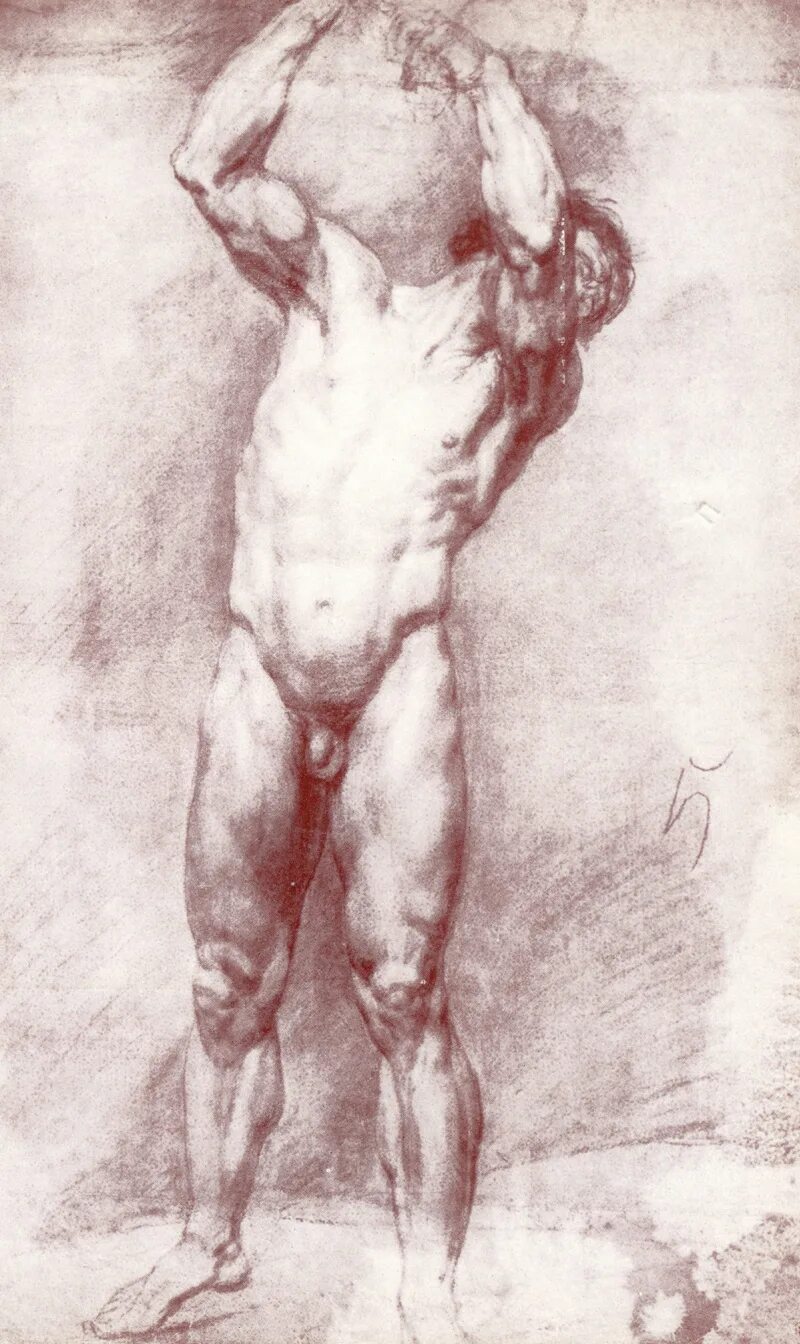 Художник рисовавший органы