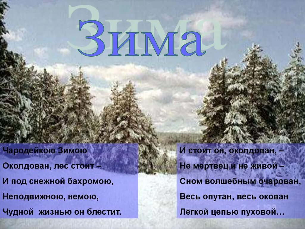 Стих тютчева про зиму. Стихи о зимней природе. стихи про зиму короткие. стих про зимний лес короткие. стихи о зиме русских поэтов.