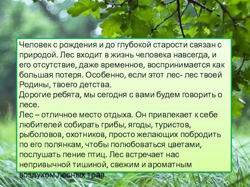 Заходишь в лесхоз и сразу чувствуешь. Как можно назвать лес в сказке. Мы вошли в лес.