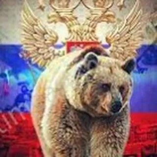 Российский медведь картинки