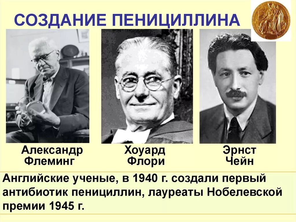 Кто первый открыл пенициллин. В 1945 году Флемингу, Чейну и Флори. Флеминг Флори и чейн в 1945 году получили Нобелевскую премию. Антибиотики пенициллин Флеминг. Пенициллин история открытия.