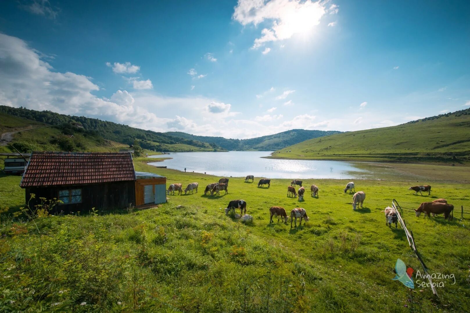 People living in the countryside. Деревни в Монголии фото. Countryside фото. Countryside Commission организация. Flock to the countryside.