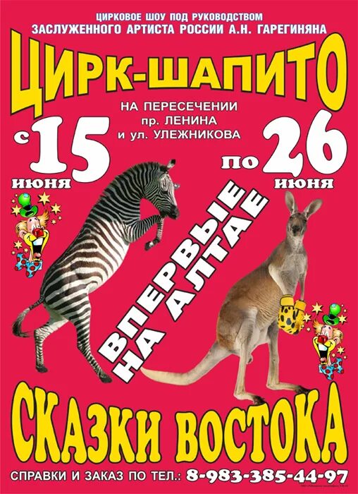 Билеты в цирк волгоград. Программа цирка. Цирк Омск программа. Рассказ про цирк шапито. Цирковая программа в детском саду.