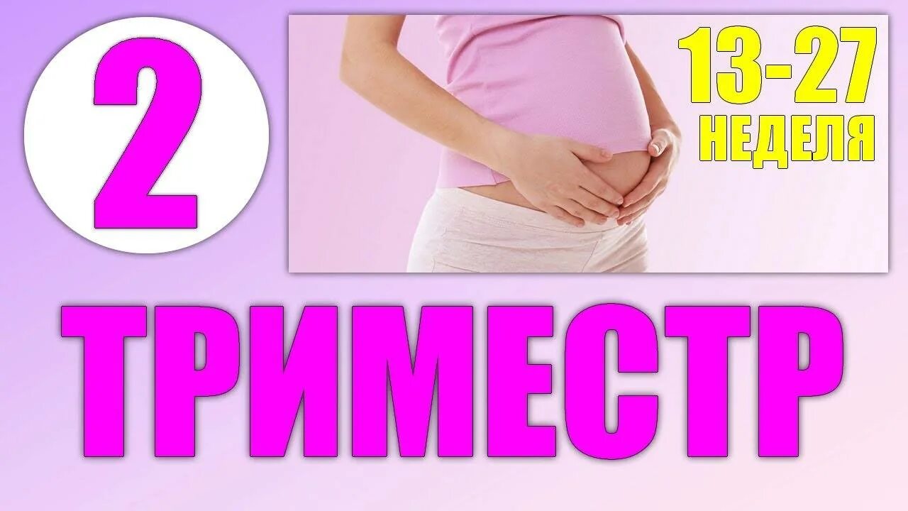 2 триместр форум. 2 триместр беременности. триместры беременности. недели и триместры беременности. второй триместр беременности по неделям.