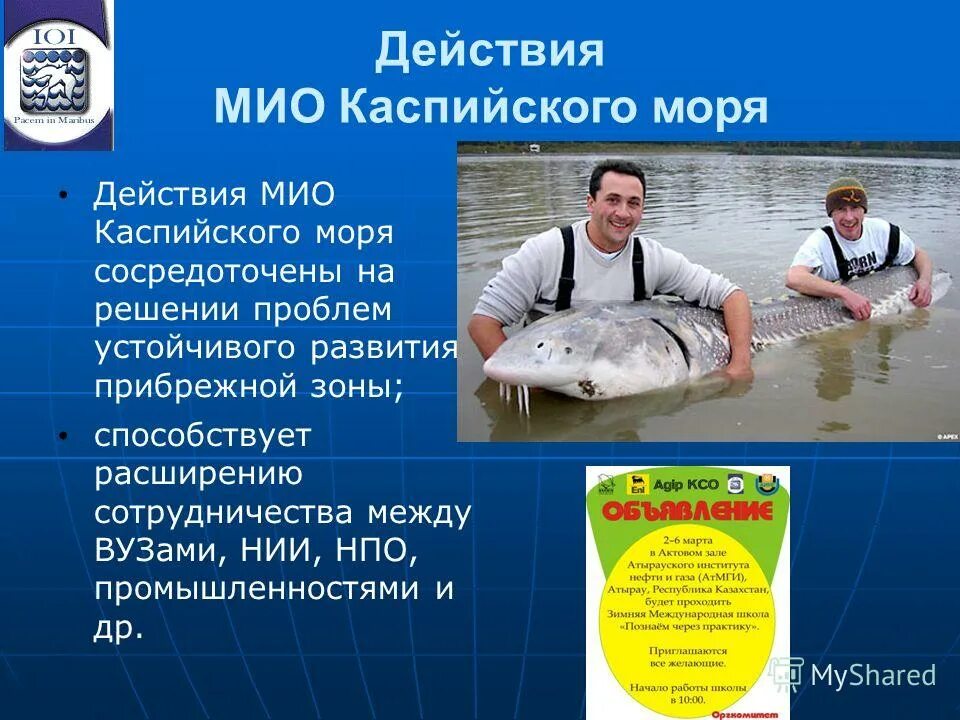 Причины загрязнения каспийского моря. Решение проблемы каспийского моря. Экологические проблемы волги. Колебания уровня каспийского моря. Решение проблемы каспийского моря.