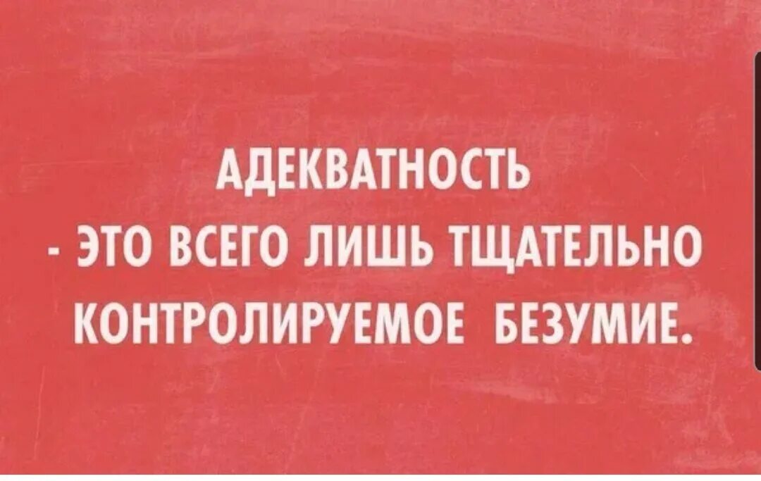 Сарказм произведения. Цитаты про адекватных людей. Шутки про адекватность. Анекдот про адекватность. Афоризмы про адекватных людей.