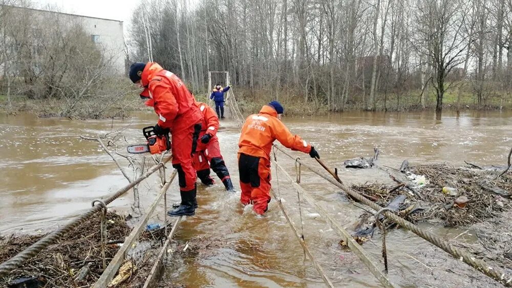 Подтопления в Новгородской области. Паводок в Новгородской области. Паводок МЧС. Дождевые паводки последствия. Мчс уровень воды