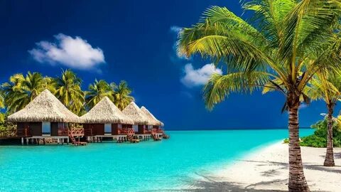 Exotic travel