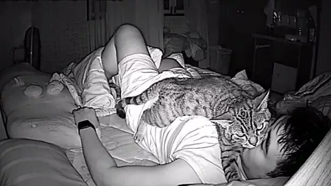 Спящий парень и кот. Парни в кровати с кошкой. Кот лежит на лице. Ноги не дают спать
