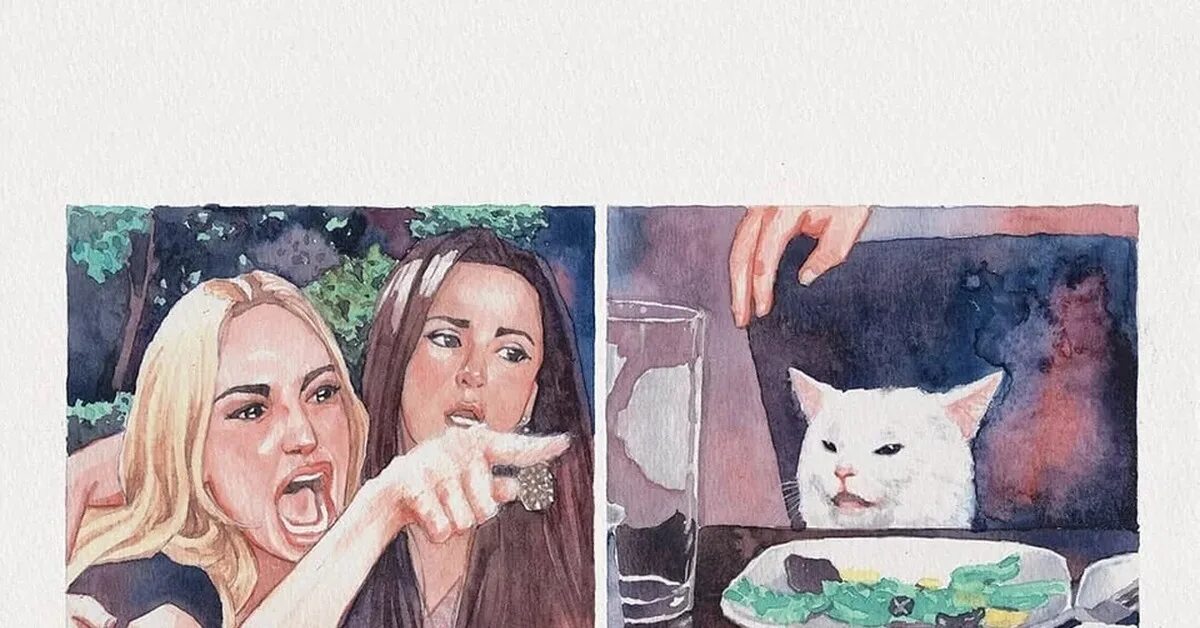 Мемы с котом и девушками. Мем с котом и девушками за столом. Девушки орут на кота. Две девушки и кот за столом. Спорящие коты мем