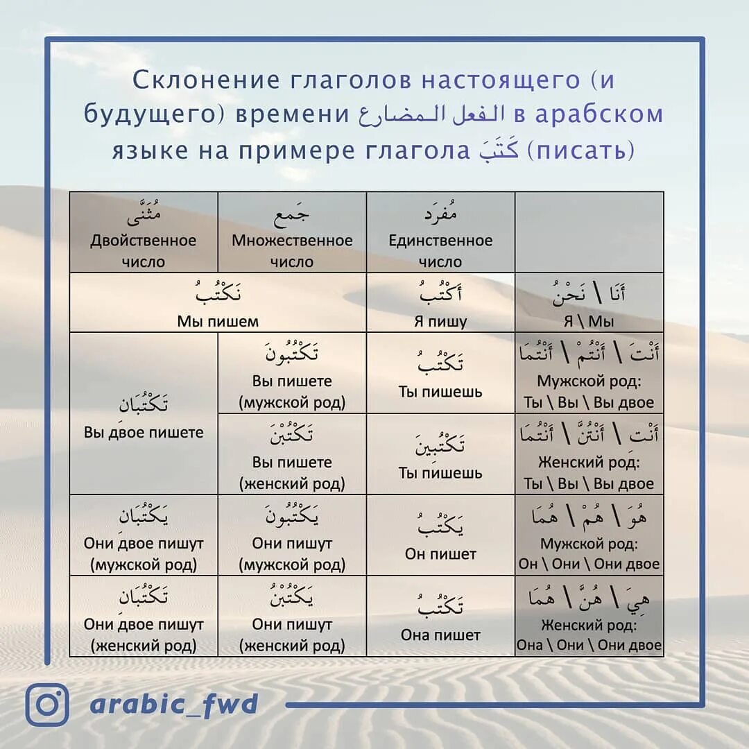 Напишите глаголы в форме будущего времени. Спряжение арабских глаголов. Глагольная лексика примеры. Глагол осетинский язык примеры. Менора биньяны глаголы.