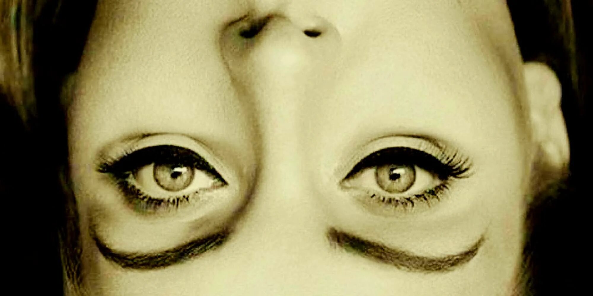 Эйнштейн и мэрилин монро. Перевернутые лица иллюзия. Оптическая иллюзия грим. Обман зрения лицо. Двойное лицо.