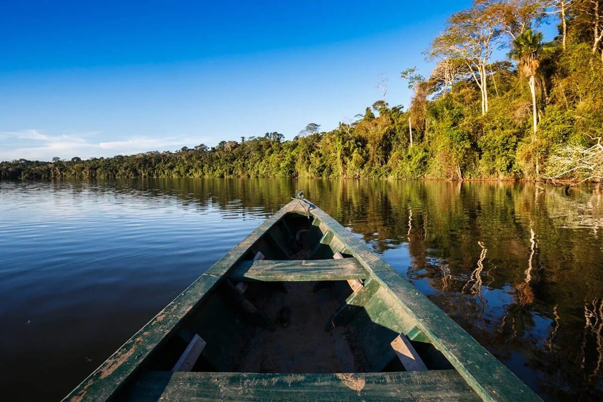 Манаус Бразилия Амазонка. Джунгли амазонки, Манаус. Река Укаяли Перу. Театр Амазонас Бразилия. Самая большая река в бразилии