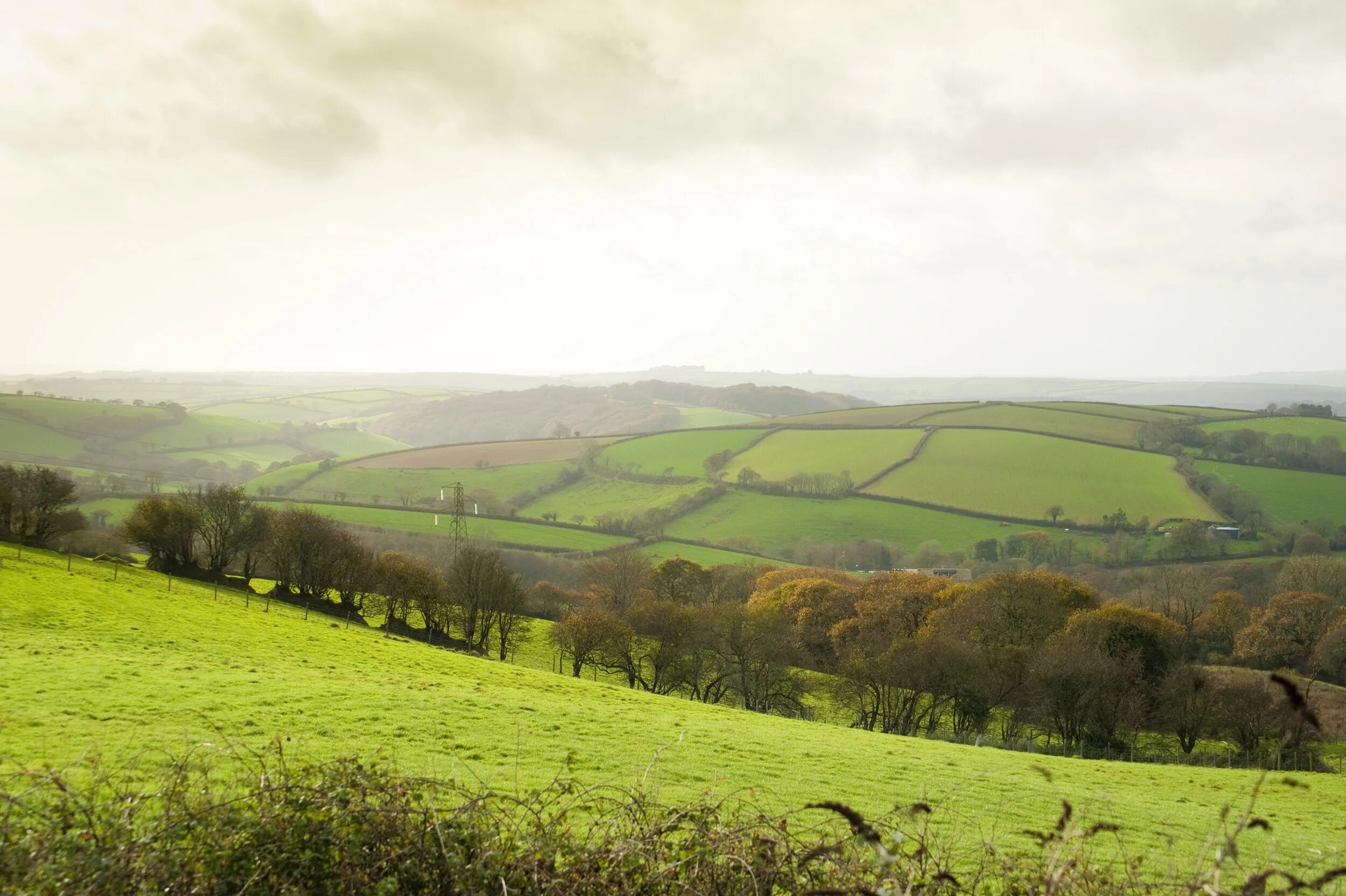 Countryside android. Зелёные просторы Шотландии. Rolling countryside. Green countryside Landscape. Countryside Panorama.