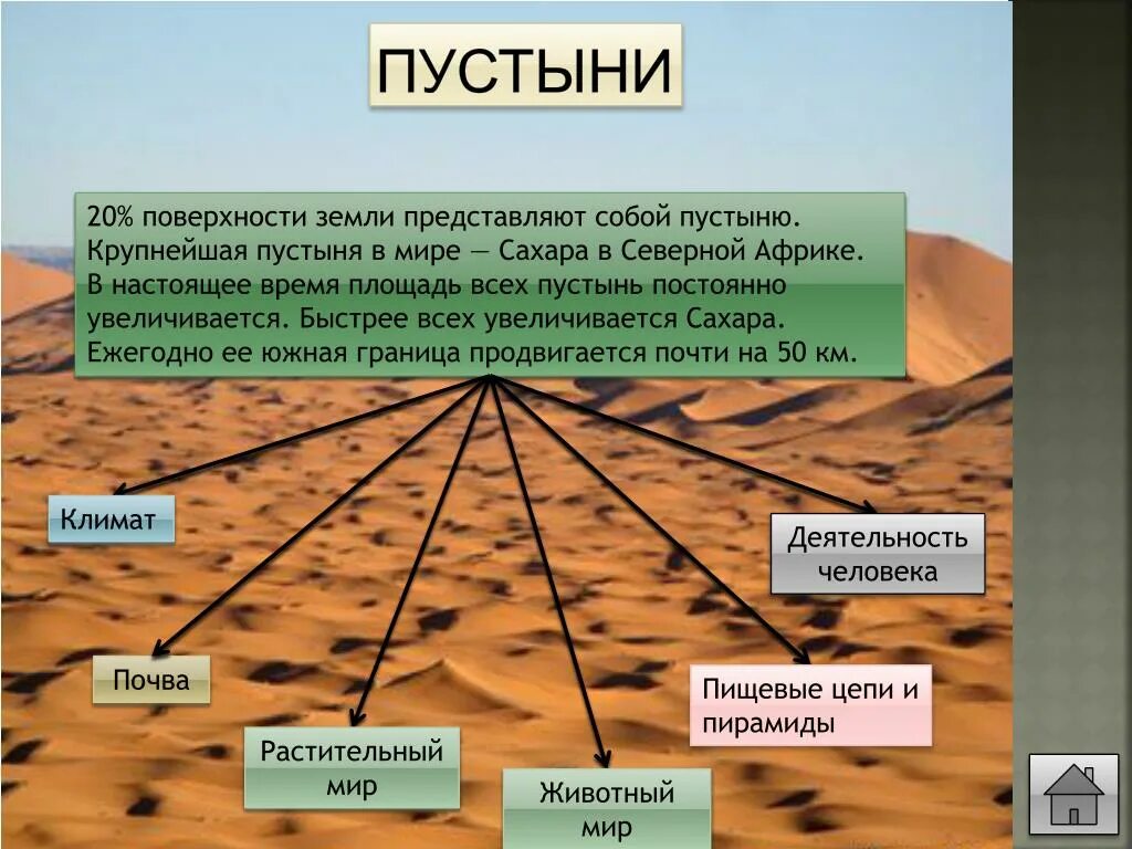 Самая большая по площади пустыня земли. Пустыни и их названия. Названия пустынь. Пустыни названия список.