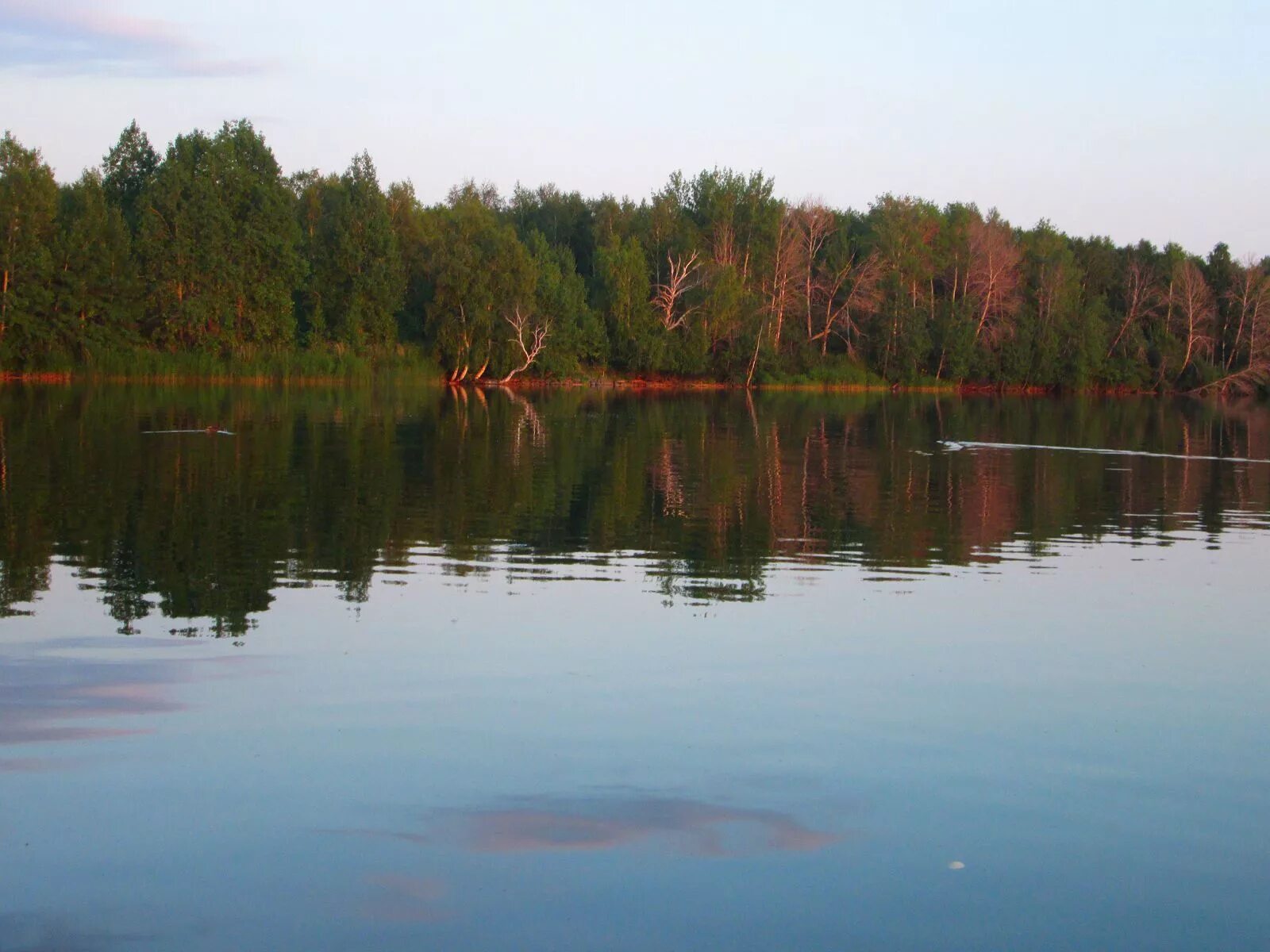 Озеро шамсутдин. Озеро Шамсутдин Бирск. Озеро Шамсутдин Башкирия. Озеро Шамсутдин база. Узункуль (озеро, Башкортостан).