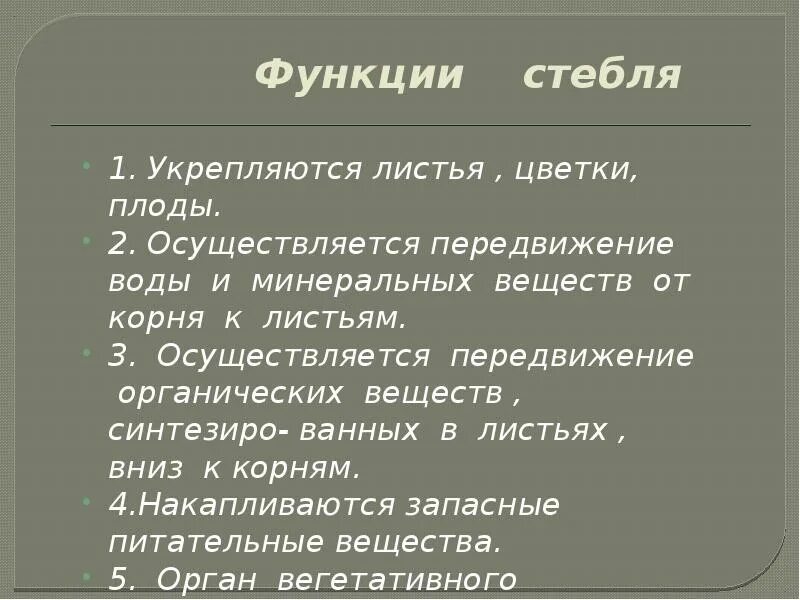 Какие функции стебель. Каковы основные функции стебля. функции стебля растений. основные функции стебля растения. основные функции стебля 6 класс.