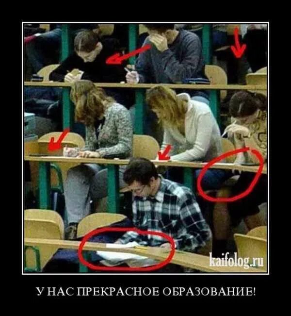Когда то были студентами