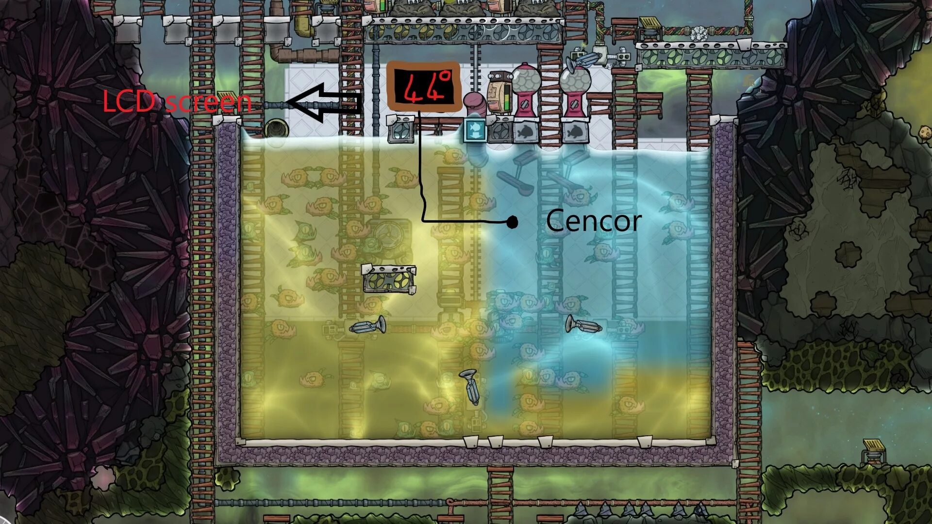 Oxygen not included корейская лизерка схема. Oxygen not included корейская лизерка схема