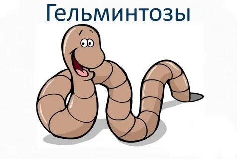 Червяк говорит доброе утро