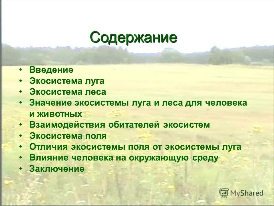 значение экосистемы. значение лесных экосистем. биогеоценоз это устойчивое. для любой экосистемы характерны. значение биоразнообразия.