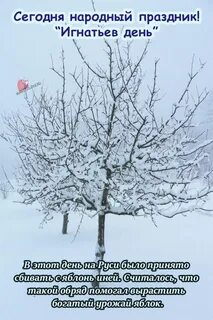 Приметы на 2 января