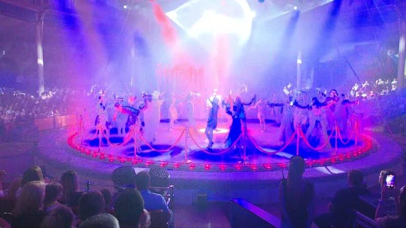 Цирк в оренбуржье январь 2024. Оренбургский государственный цирк. Водный цирк. Цирк в оренбуржье январь 2024. Цирковые номера.