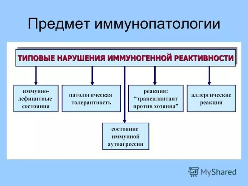 Аллергия как проявление иммунодефицита проект. Аллергия фактор проявления иммунодефицита. виды иммунопатологических процессов. аллергия как фактор проявления иммунодефицита. аллергия как фактор проявления иммунодефицита проект.