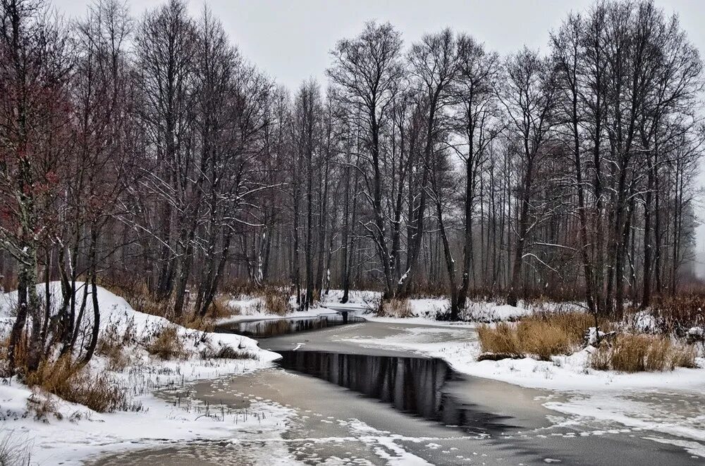 Поздняя осень. Ноябрь природа. Осень ноябрь. Поздняя осень ноябрь.