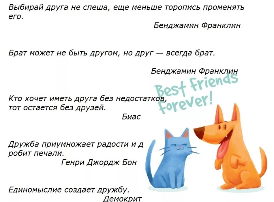 Короткие цитаты друг. Короткие высказывания о дружбе. Короткие афоризмы про дружбу. Цитаты про друзей смешные. Смешные фразы про дружбу.