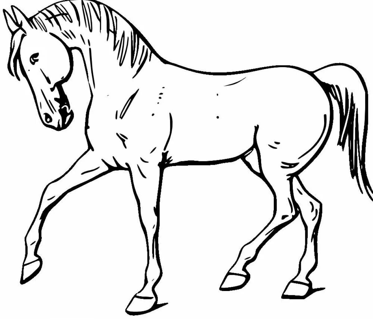 Раскраска черных фото. Раскраска. Лошади. Раскраска конь. Лошадка раскраска для детей. Лошадка рисунок.