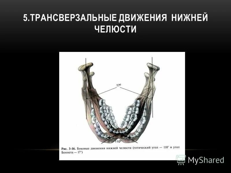 Движение нижней челюсти назад. Трансверзальные движения челюсти. трансверзальные движения нижней челюсти. боковые движения нижней челюсти. сагиттальные трансверзальные вертикальные движения нижней челюсти.