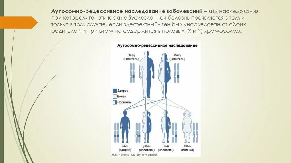 Рецессивный омега. Аутосомно рецессивное наследование. Закономерности аутосомно-рецессивного типа наследования. Муковисцидоз наследование. Тип наследования муковисцидоза.