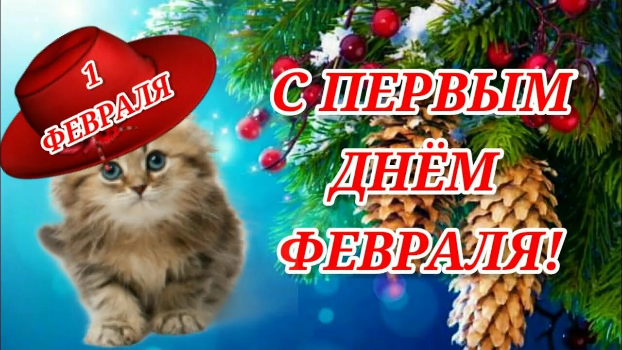А первое февраля. Доброго дня одноклассники картинки красивые. Анимация четверг февраль. Открытки макарьев день. А первое февраля.