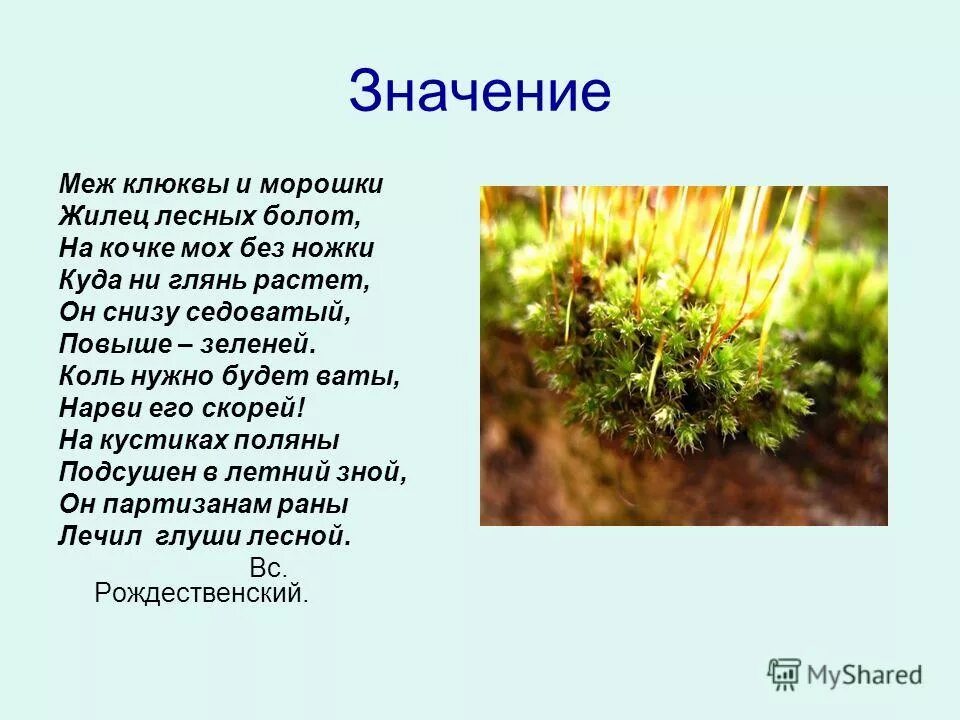 Загадка со словом грязь. Загадки со словом грязь детская. Значение слова межа. Меж тем значение. Меж тем значение.