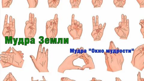 7 мудр