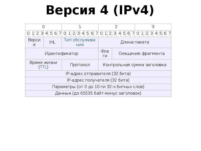 Ipv4 protocol. Структура ipv4 протокола. Структура IP пакета ipv4. Протоколы ipv4 и ipv6. Структура пакетов ipv4 и ipv6.