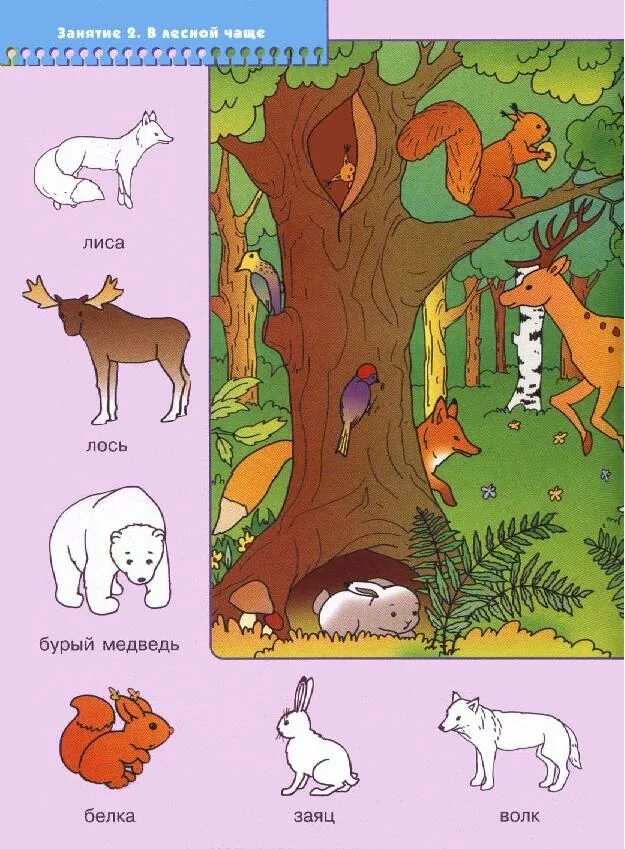 Развивающее занятие лес. Игра лесная тропинка лабиринт. Геометрические фигуры в лесу. Дерево для детей. Игровое поле для детей.